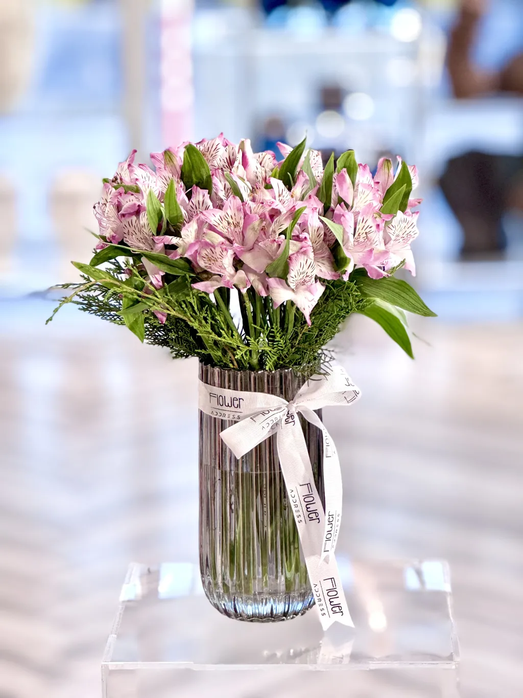فازة زهرة الاستماريا