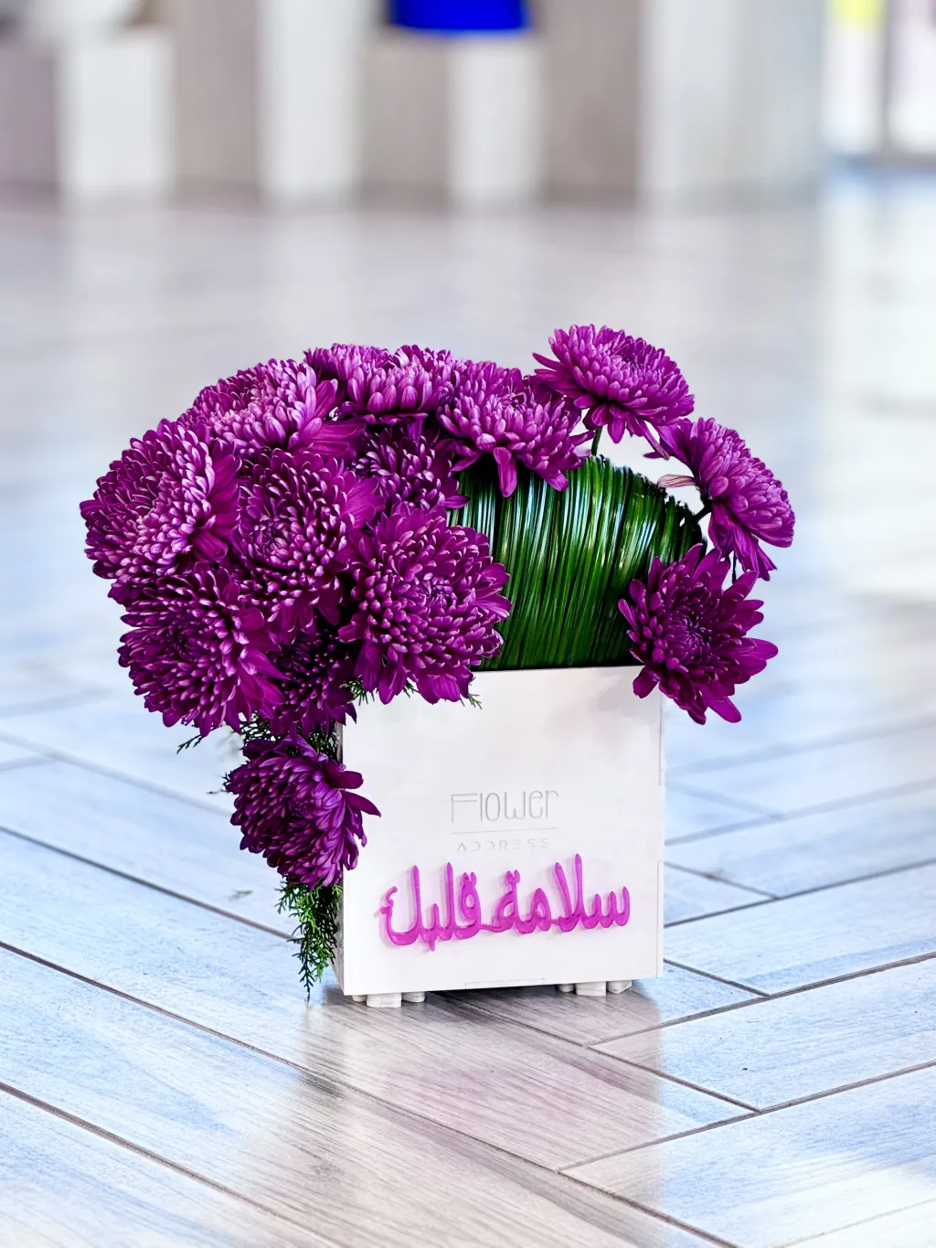 الديكو و الستيلغراس